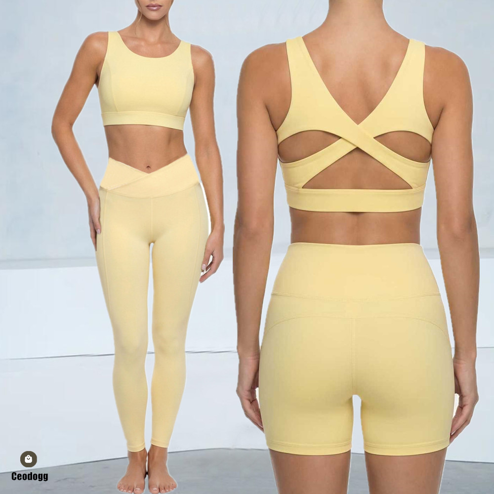 패드 푸시 업 요가 피트니스 브라 충격 흡수 스포츠 브 - Aquatic Sports Bra 리뷰 및 가격